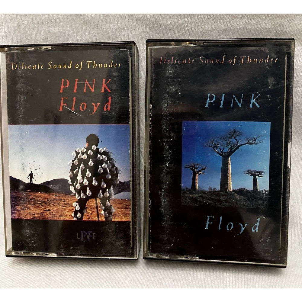 Pink Floyd Delicate Sound of Thunder 1988 Two Cassette Momentary Lapse Of Reason